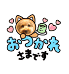 きなこ大好きだよ（個別スタンプ：2）
