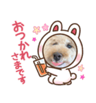 きなこ大好きだよ（個別スタンプ：3）