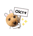 きなこ大好きだよ（個別スタンプ：5）