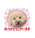 きなこ大好きだよ（個別スタンプ：7）