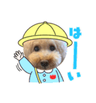 きなこ大好きだよ（個別スタンプ：8）