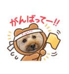 きなこ大好きだよ（個別スタンプ：9）