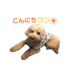 きなこ大好きだよ（個別スタンプ：21）