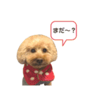 きなこ大好きだよ（個別スタンプ：26）
