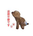 きなこ大好きだよ（個別スタンプ：29）