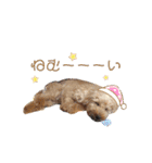 きなこ大好きだよ（個別スタンプ：30）