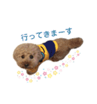 きなこ大好きだよ（個別スタンプ：31）
