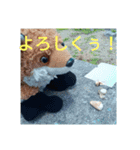 トレイシーフォックスクラン（個別スタンプ：3）