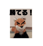トレイシーフォックスクラン（個別スタンプ：8）