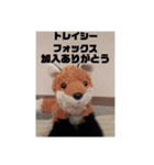 トレイシーフォックスクラン（個別スタンプ：14）