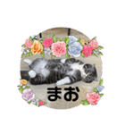 Nyansたち♡（個別スタンプ：5）