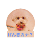 ぼく、福丸です。その6（個別スタンプ：2）