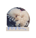 ぼく、福丸です。その6（個別スタンプ：5）