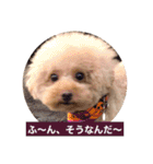 ぼく、福丸です。その6（個別スタンプ：9）