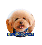 ぼく、福丸です。その6（個別スタンプ：13）
