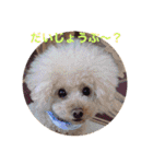 ぼく、福丸です。その6（個別スタンプ：18）