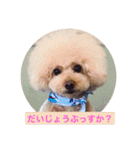 ぼく、福丸です。その6（個別スタンプ：19）