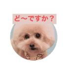 ぼく、福丸です。その6（個別スタンプ：21）