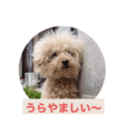 ぼく、福丸です。その6（個別スタンプ：22）