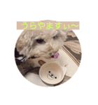 ぼく、福丸です。その6（個別スタンプ：23）