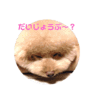 ぼく、福丸です。その6（個別スタンプ：24）