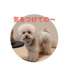 ぼく、福丸です。その6（個別スタンプ：26）