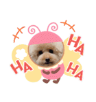 ぼく、福丸です。その6（個別スタンプ：33）