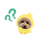 ぼく、福丸です。その6（個別スタンプ：34）