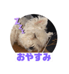 one・ダ・full（個別スタンプ：2）