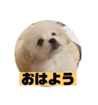 one・ダ・full（個別スタンプ：3）