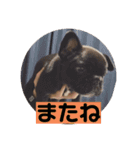 one・ダ・full（個別スタンプ：4）