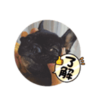 one・ダ・full（個別スタンプ：5）