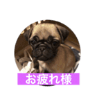 one・ダ・full（個別スタンプ：7）