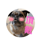 one・ダ・full（個別スタンプ：9）