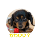 one・ダ・full（個別スタンプ：10）