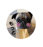 one・ダ・full（個別スタンプ：11）