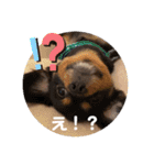 one・ダ・full（個別スタンプ：12）