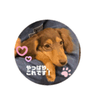 one・ダ・full（個別スタンプ：14）