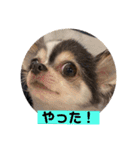 one・ダ・full（個別スタンプ：16）