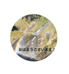 立山kinko（個別スタンプ：1）