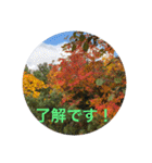 立山kinko（個別スタンプ：9）