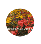 立山kinko（個別スタンプ：10）