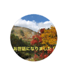 立山kinko（個別スタンプ：17）