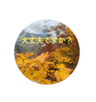 立山kinko（個別スタンプ：18）