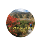 立山kinko（個別スタンプ：20）