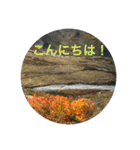 立山kinko（個別スタンプ：23）