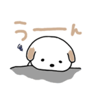 犬の毎日(リムver)（個別スタンプ：22）