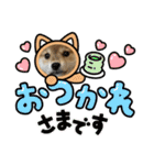 柴犬 かわいいさんちゃんスタンプ（個別スタンプ：10）