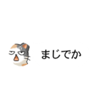 猫大好き！（省スペース）その3（個別スタンプ：24）