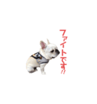 フレブルのマイル7（個別スタンプ：2）